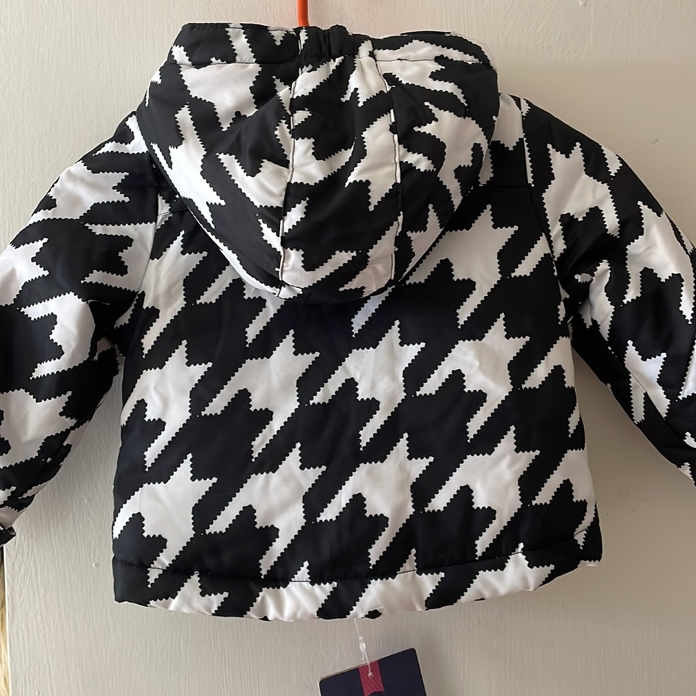 Jacket - Picture 6 of 6